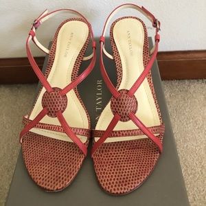 Ann Taylor Sandals